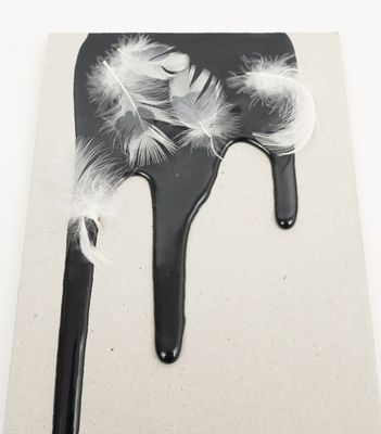 a black and white picture of a hair brush with feathers on it