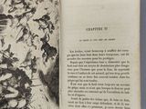 an open book with a drawing of a group of people in a forest