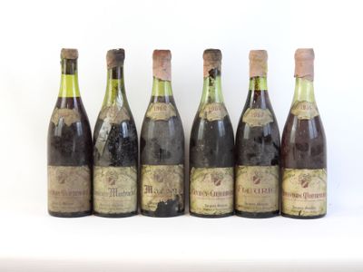 six bouteilles de vin sont alignées sur une surface blanche