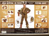 une vieille affiche représentant un homme en uniforme marron, les mains sur les hanches