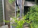 un bâtiment d'où poussent de nombreuses plantes