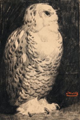 dessin représentant un hibou blanc perché sur une table en bois