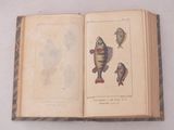 Photo 10/20 du lot