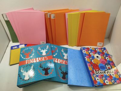 Lot de fournitures de bureau - FUN & BASICS - Classeurs et c…