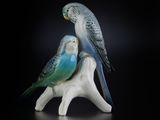 two parakeets that are sitting on top of each other