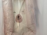 une photo d'un chien blanc dans un sac en plastique