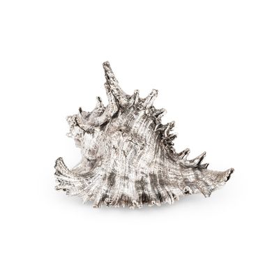 un gros plan d'un coquillage argenté sur fond blanc
