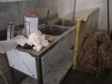 un chien qui se tient debout dans une cuisine sale