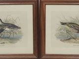 deux reproductions encadrées représentant des oiseaux marchant dans l'herbe au bord de l'eau