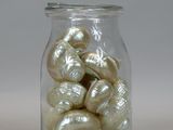 a glass jar filled with shells on a white surface