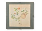 peinture représentant une grenade avec des feuilles et des fleurs sur fond blanc