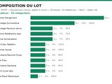 Photo 11/20 du lot