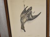 une image représentant un oiseau accrochée au mur