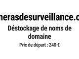 Photo 1/1 du lot