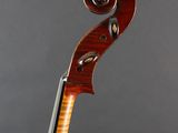 a close up of the back of a violin