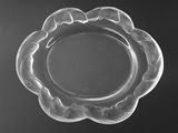 photographie en noir et blanc d'une plaque de verre ornée d'un motif floral
