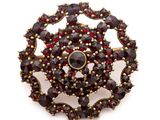 a close up of a brooch with garnets on it