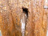 un morceau de bois percé d'un trou