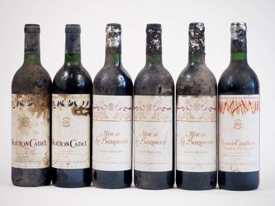 six bouteilles de vin sont alignées sur une surface blanche