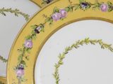 two plates with gold rims decorated with flowers and vines