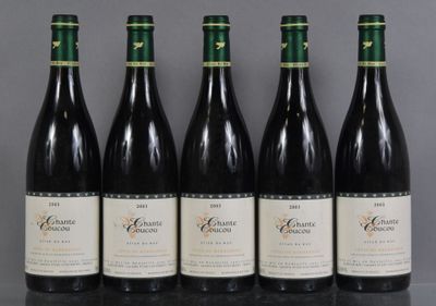 six bouteilles de vin sont alignées sur une table