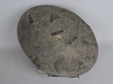 a rock with a face carved into it on a stand