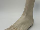 a sculpture of a foot that is on a table