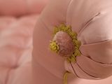 a pink pillow with a yellow flower on top of it
