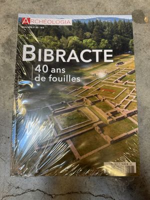 Bibracte : 40 ans de fouilles