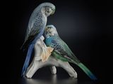 two parakeets sitting on a branch of a tree
