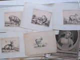 many pictures of animals on the pages of a book