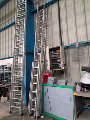 5 Brins d'échelle, - Photo 1