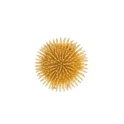 une image représentant un objet jaune hérissé sur fond blanc