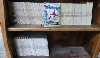 une bibliothèque sur laquelle sont posés des livres