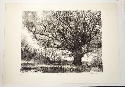 une photo représentant un dessin d'un arbre dans un champ