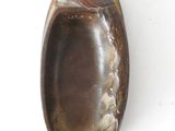 a brown object on a white surface with a white background