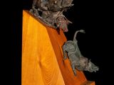statue of a bull and a dog on a wooden base