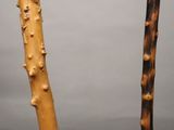 a close up of two sticks that have sprouts on them