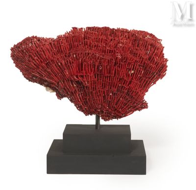 an image of a red coral sculpture on a black stand