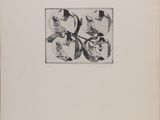 a black and white drawing of birds on a branch with leaves