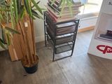 a plant in the corner of a room next to a book shelf