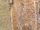 a close up of a piece of wood with holes in it
