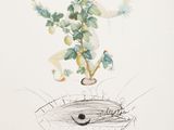 an image of a drawing of a bird in a nest with flowers