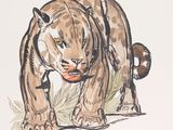 a drawing of a tiger that is walking in the grass
