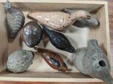 une boîte en bois remplie de différents types de coquillages