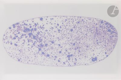 an image of a cell with a lot of blue dots on it