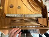 a person that is playing a musical instrument in the room
