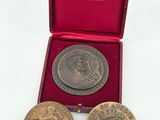 two gold medals in a red box on a white surface