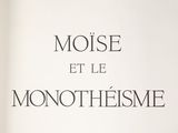 Photo 5/20 du lot