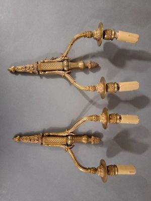 Paire de bras de lumière/appliques en bronze doré à deux bra…